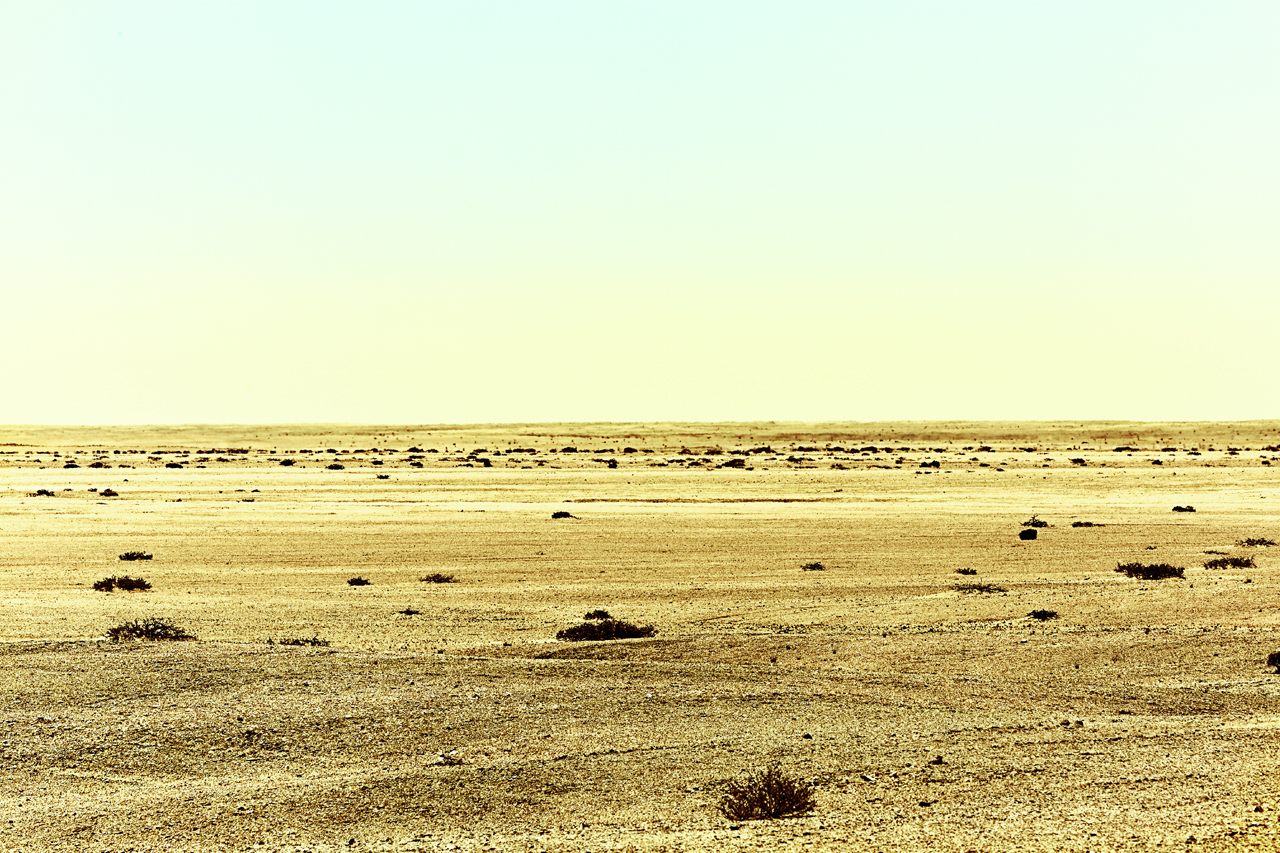 Namibia plain web 3
