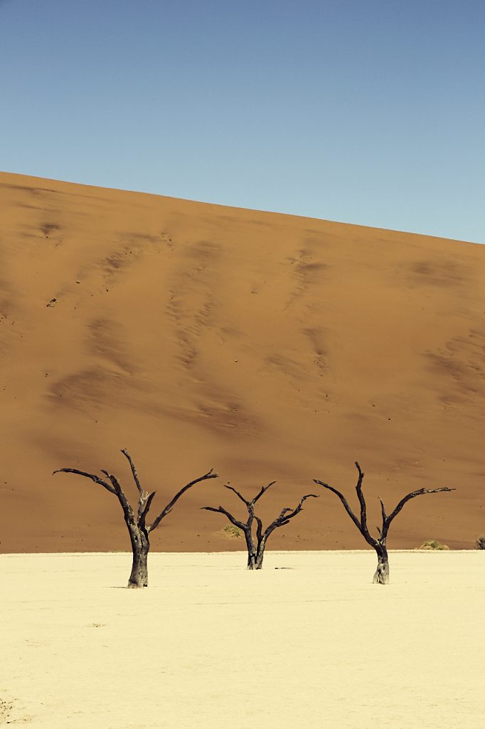 dead vlei 3