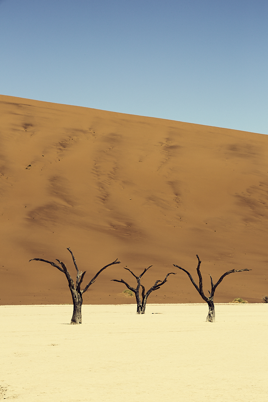 dead vlei 3